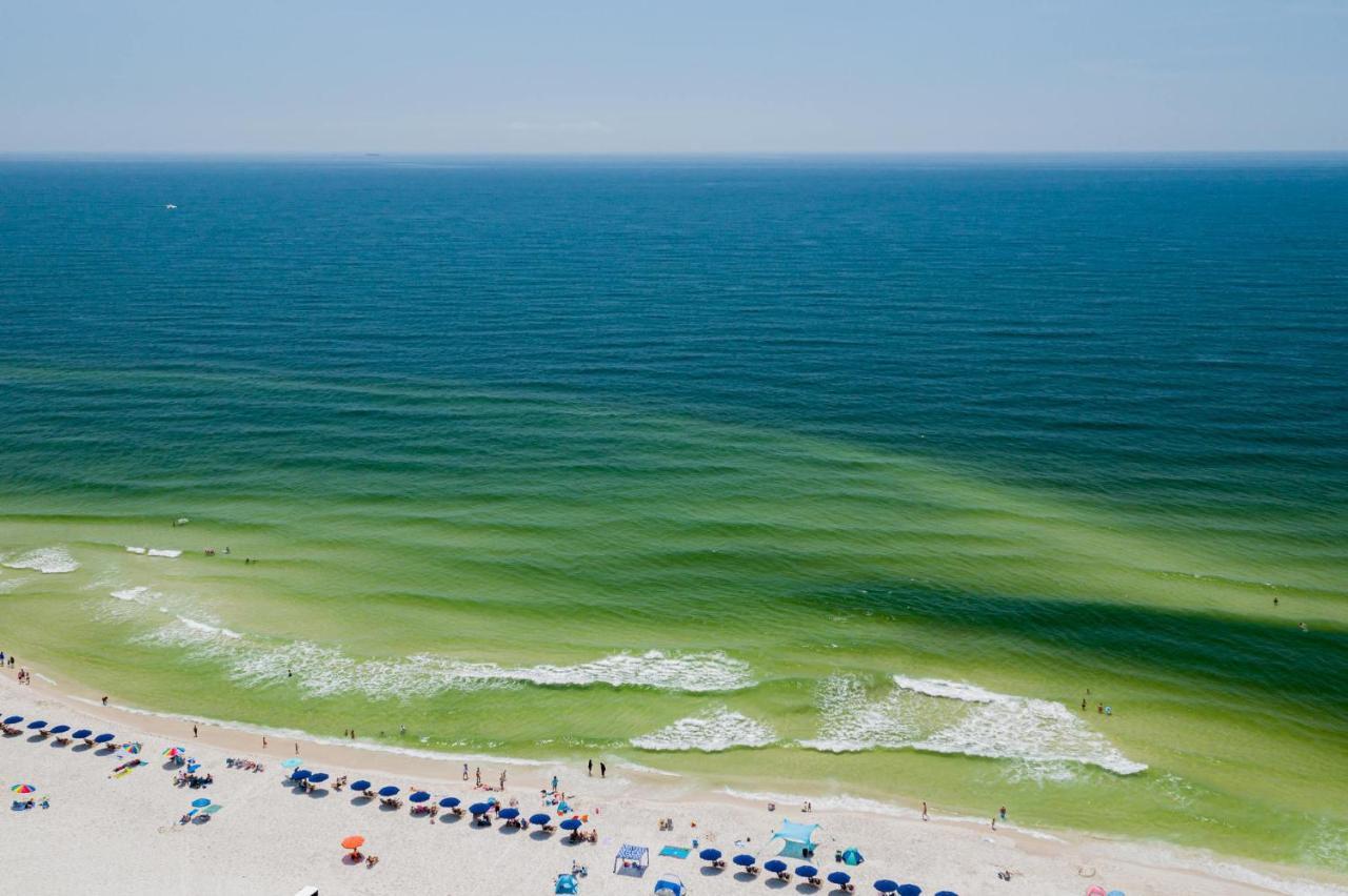 Sunset Spring Break Special ! Apartment Gulf Shores Exterior foto